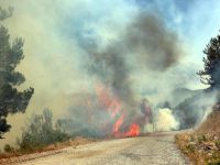 Alanya'da Orman Yangını