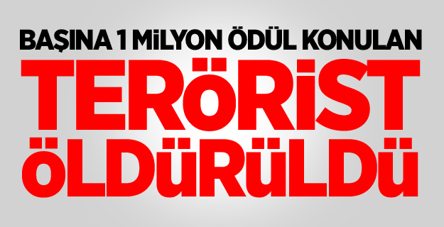 Başına 1 milyon ödül konulan terörist öldürüldü
