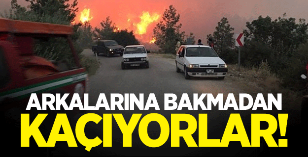 Oradan arkalarına bakmadan kaçıyorlar!