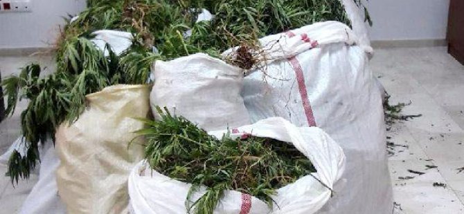 Antalya'da Uyuşturucu Operasyonu