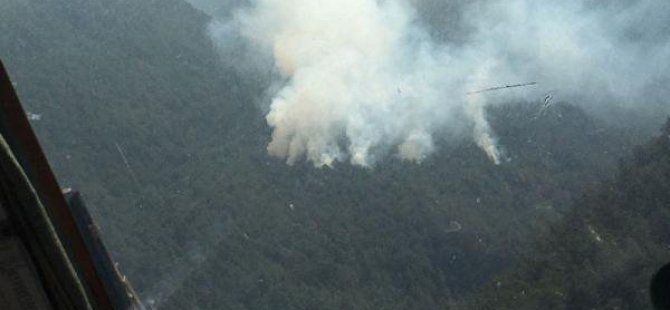 Dörtyol'da Orman Yangını