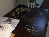 Topladığı Böcek ve Bitkilerle Yakalanan Turiste 42 Bin TL Ceza