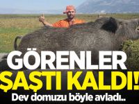 Görenler şaştı kaldı! dev domuzu böyle avladı