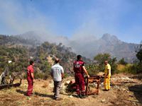Antalya'da Ormanlık Alanda Yangın