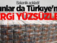 Bunlar da Türkiye'nin vergi yüzsüzleri