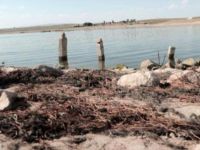 Gelingüllü Barajı'nda Çekilen Suyun Altından Köy Çıktı