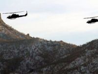 Silopi ve Tunceli'de PKK'ya ağır darbe