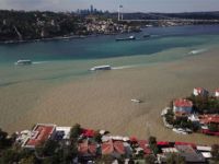 Boğaz'da şaşırtan görüntü... Korkutan söylenti.