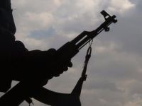 Şemdinli'de iki terörist öldürüldü