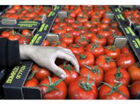 Rusya, Domates İthalatı İçin Tarih Verdi