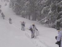 Mehmetçik PKK'lı teröristlere göz açtırmıyor