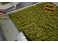 'Cennet Çamuru' Tescil Ettiriliyor