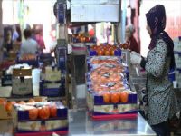 Rusya, 2 Türk Şirkete Daha Domates İthalatı İzni Verdi