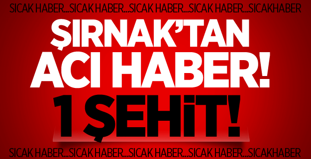 Şırnak'tan acı haber: Şehit ve yaralılar var