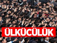 Ülkü Ne Demek, Ülkücülük Nedir?