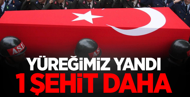 MSB Duyurdu! 1 Askerimiz Daha Şehit Oldu