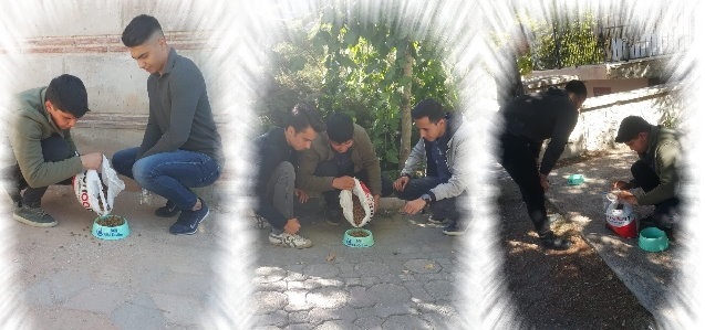 Bor Ülkü Ocakları Sokak Hayvanlarını Unutmadı