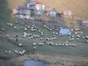 Giresun'daki Gölyanı Obası için 'tabiat parkı' talebi