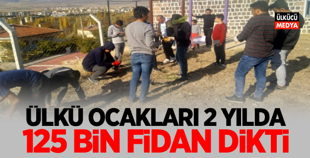 Ülkü Ocakları 2 Yılda 125 Bin Fidan Dikti