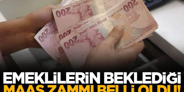 Emeklilerin Beklediği Haber Geldi: Maaş Zammı Netleşti