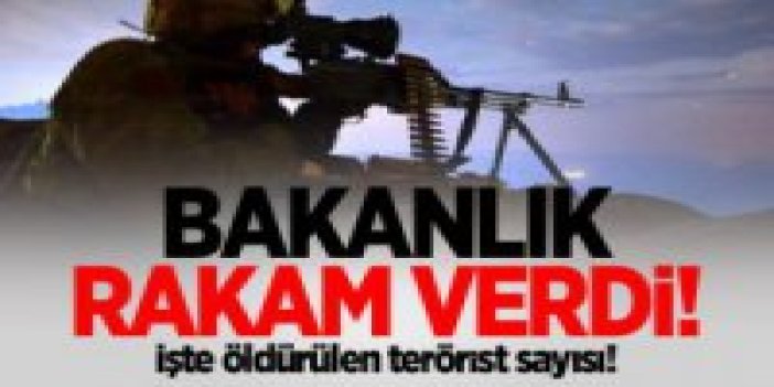 İçişleri Bakanlığı: 18 Terörist Etkisiz Hale Getirildi