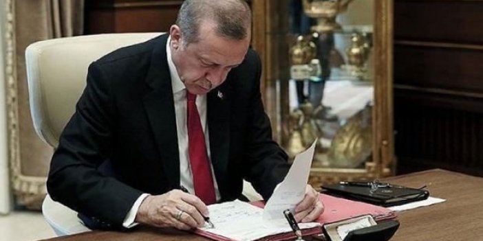 Erdoğan imzaladı! 9 bölge için kritik karar