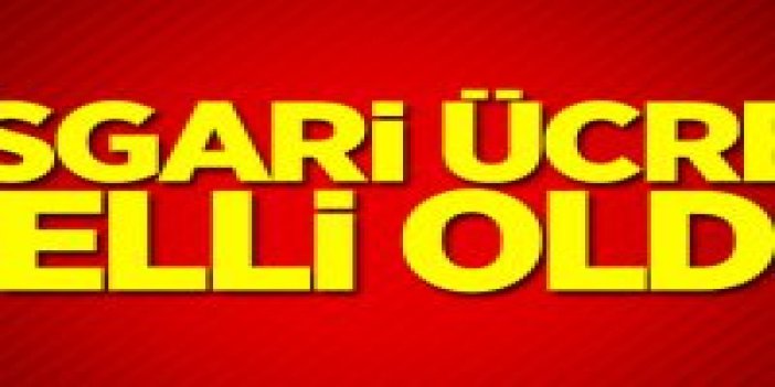 2020 Asgari ücret zammı belli oldu! İşte 2020 Asgari Ücret