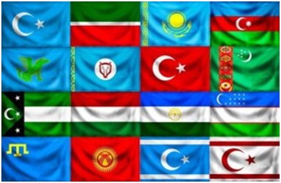 aynur-talibli-200125-1.jpg